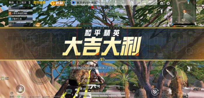 和平精英不封号全功能免费挂 - 稳定流畅不卡顿